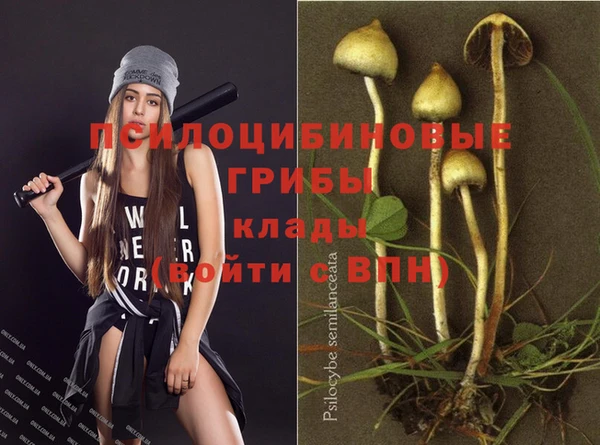 скорость Вязьма