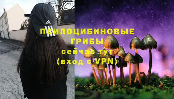 скорость Вязьма